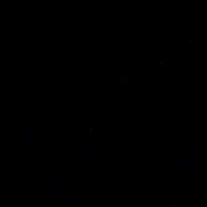 Meet your Posher, Edith